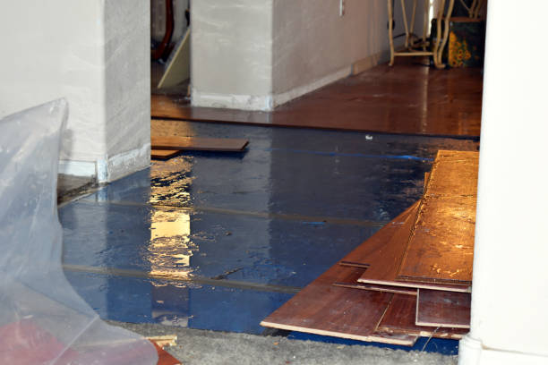 Professional Water Damage Restoration technician working in Woodbine, GA